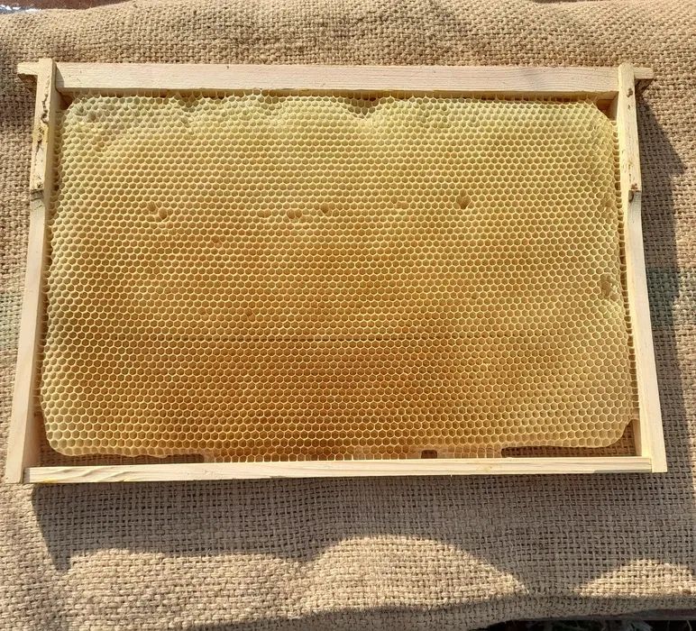 Суш 300 дадан | обмін на 145 магазин