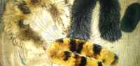 Воротник натуральный :норка песец чернобурка лиса енот