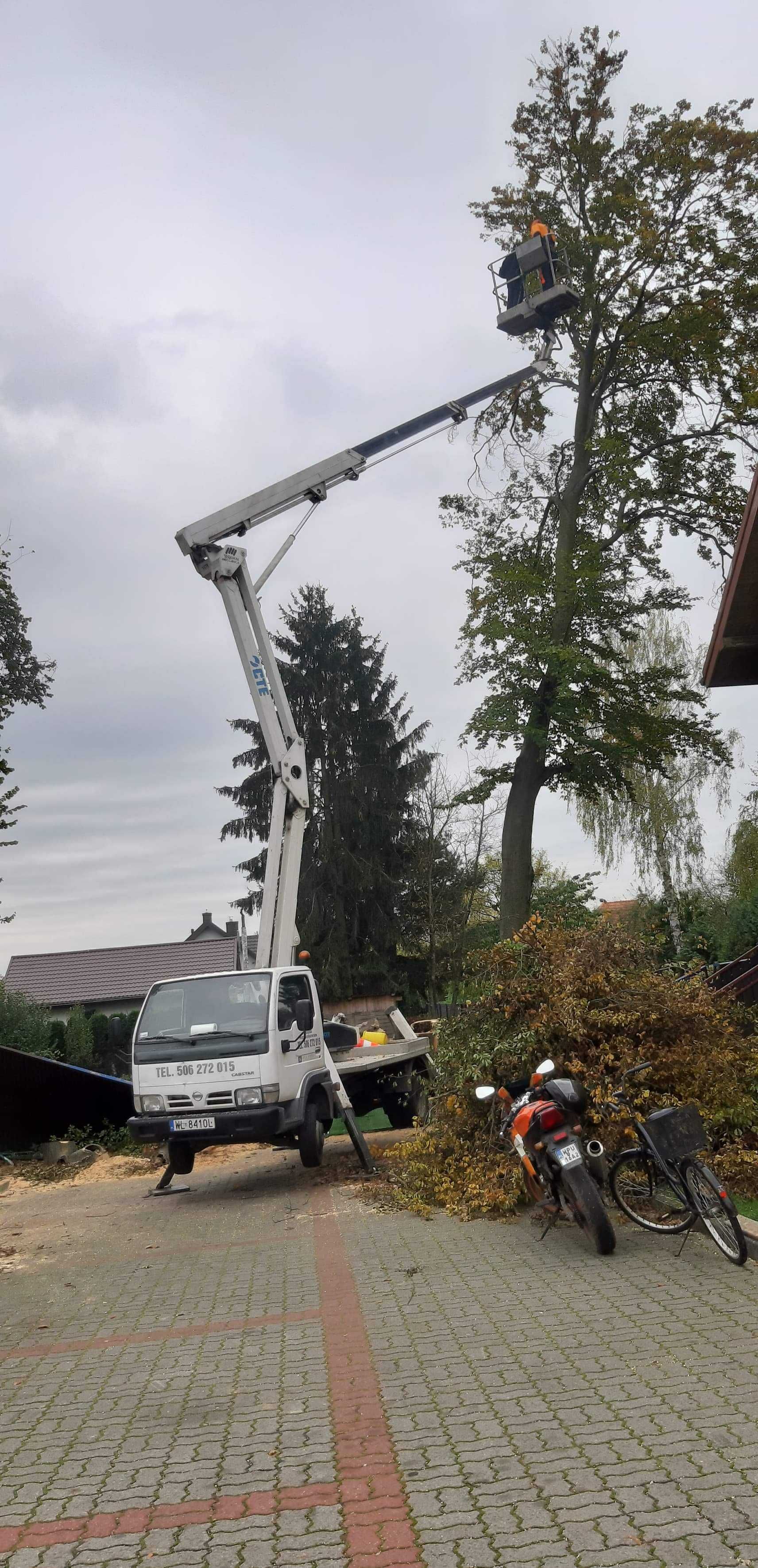 Wycinka drzew, wywóz gałęzi, czyszczenie działek, rębak, podnośnik