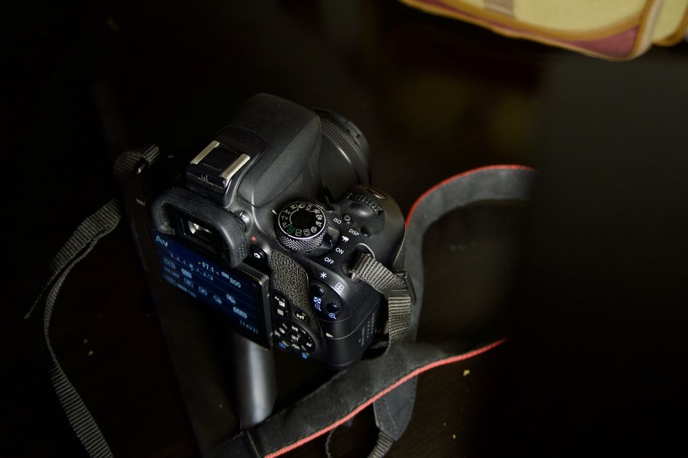 Canon 800D(T7i) + Canon 50mm 1.8 STM + Canon bag