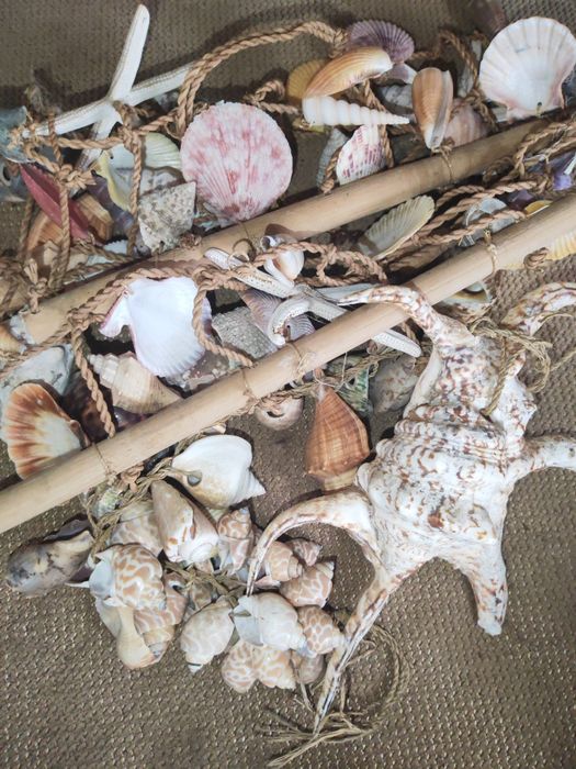 Ракушки для поделок