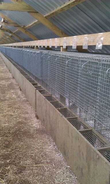 Klatka dla królika kura kaczka