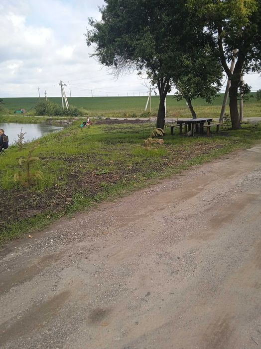 Продам дачну ділянку