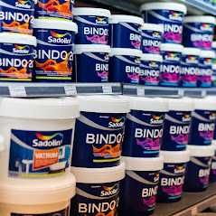 Латексна фарба Sadolin Bindo 7 для стін та стелі. Знижка  -20%