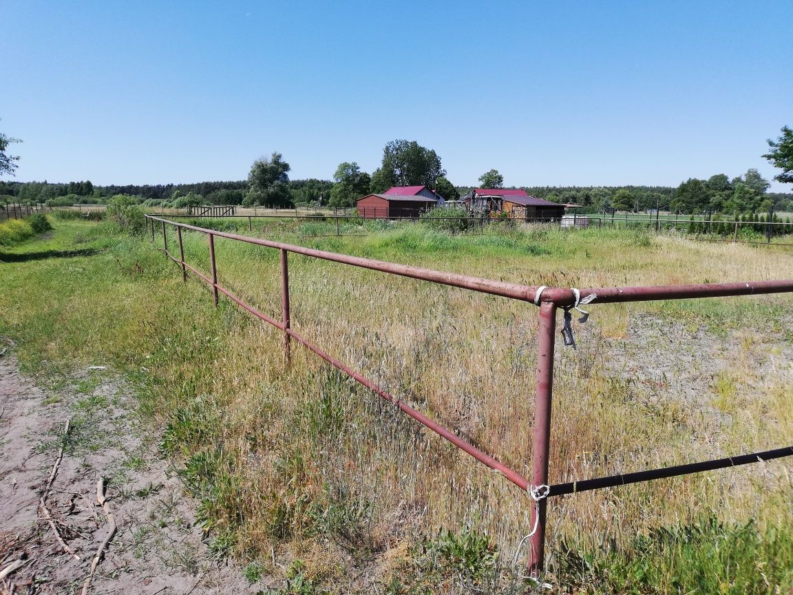 Lonżownik, wybieg dla konia