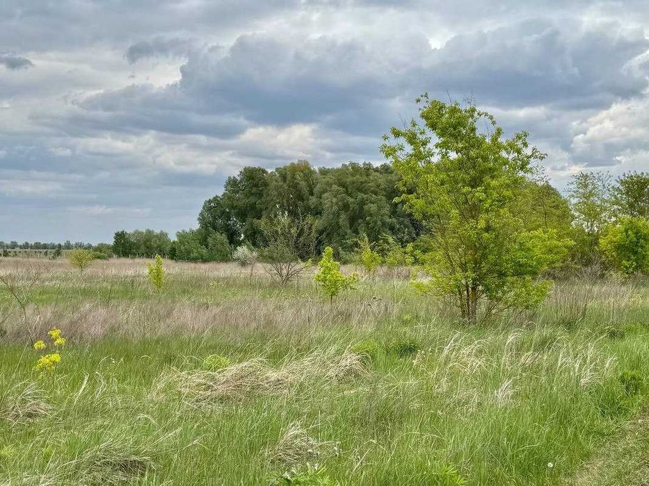 Земельна ділянка в Борисполі! Під комерцію та промисловість