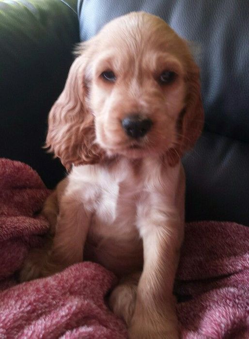 Подаруйте собі щастя