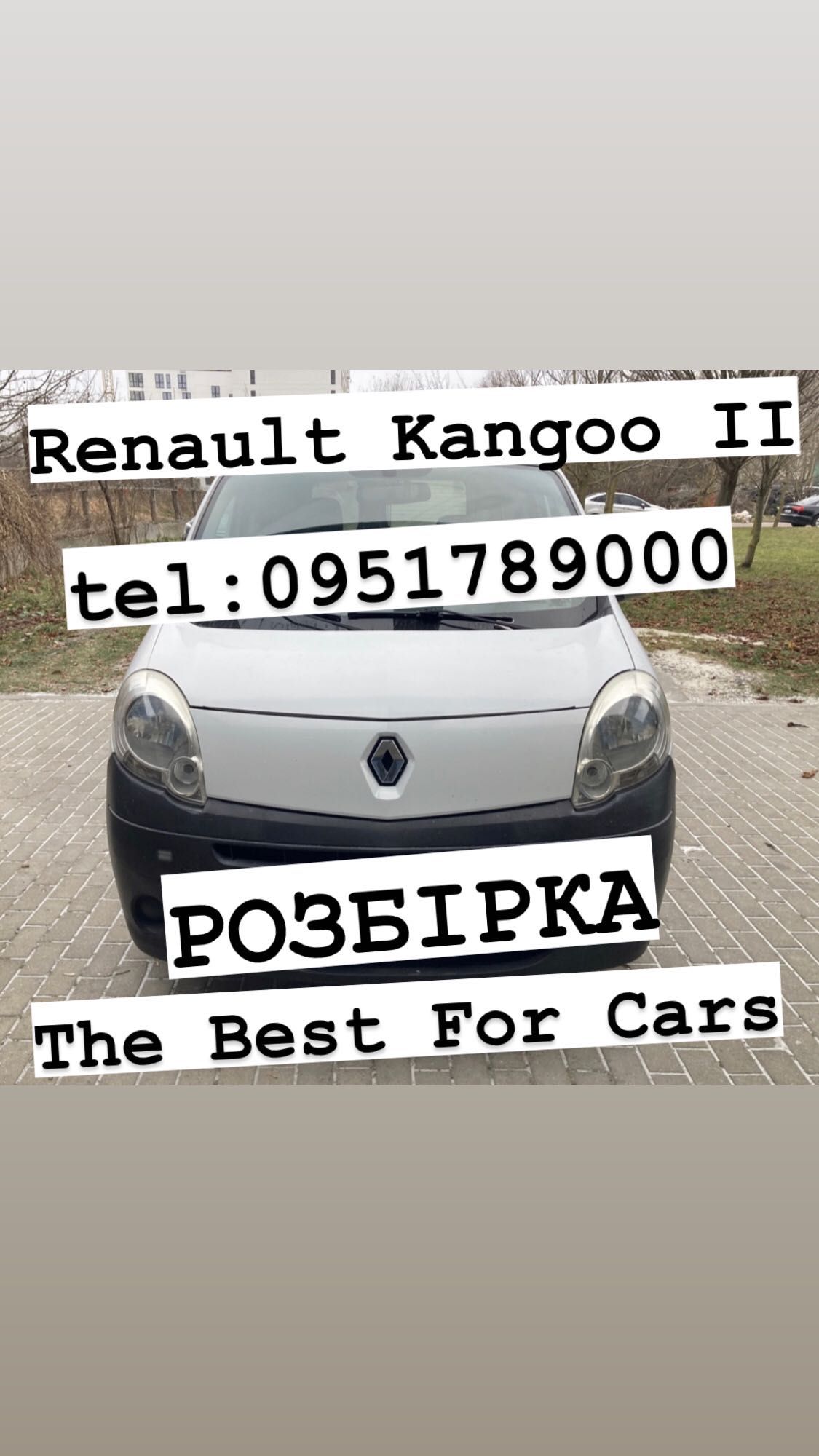 Розбірка Renault Kangoo II покоління (2008-2013 р.в)