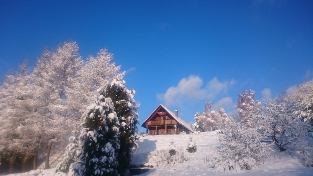 Ferie w Bieszczadach, Ferie zimowe, górska chatka, duży domek w górach