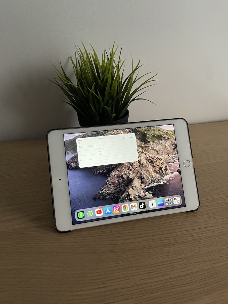 Ipad Mini 5 (64Gb) | Branco | iPadOS 17.4.1 - Ótimo Estado