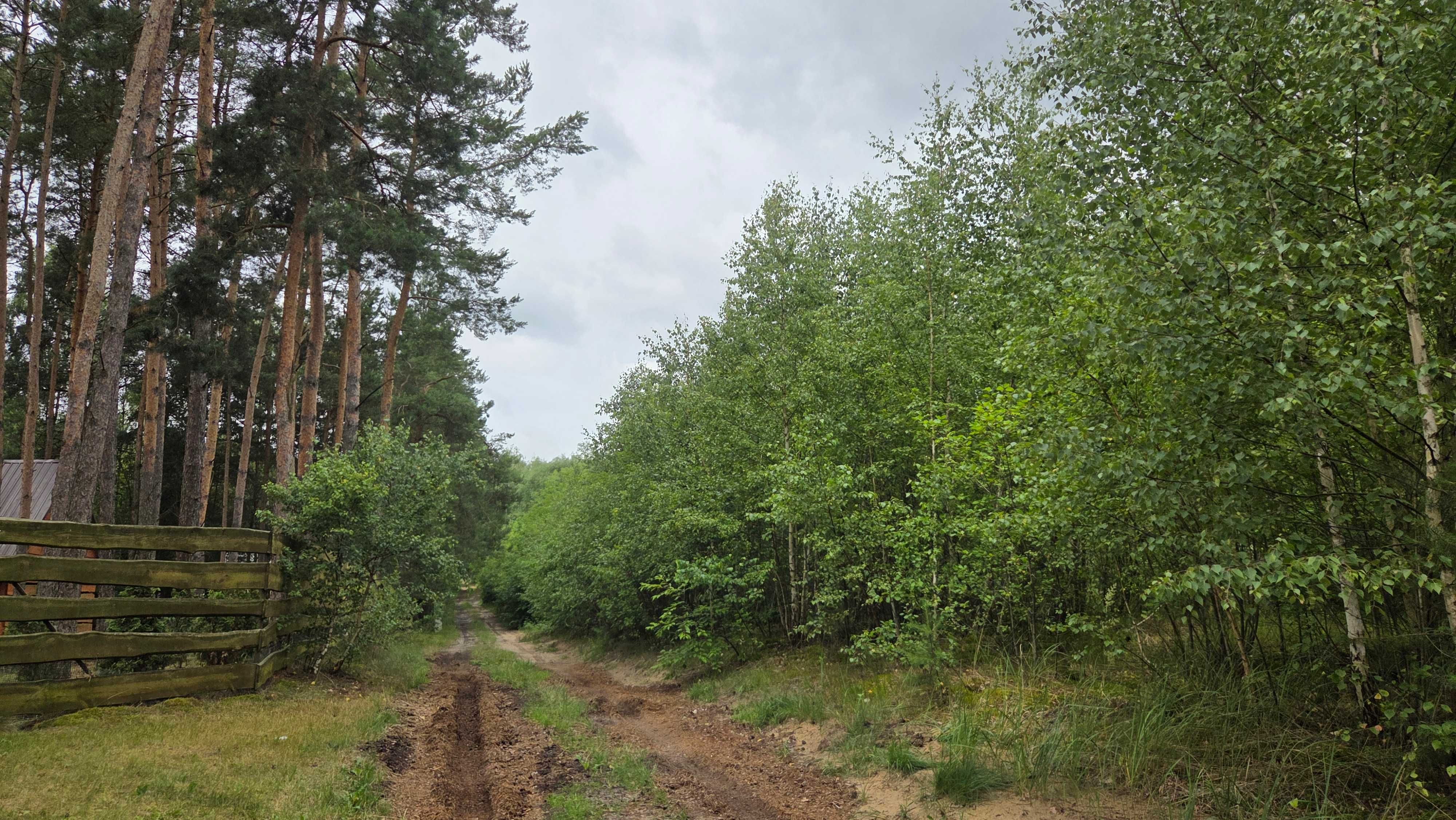 Działka nad Wkrą Królewo gm. Joniec