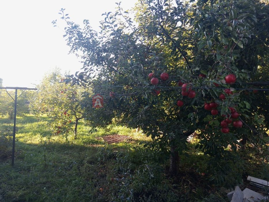 Будинок с.Вільна Тарасівка, Білоцерківського р-н,Без %