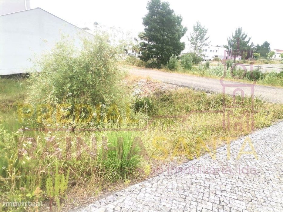 Lote para construção de Moradia - Ançã