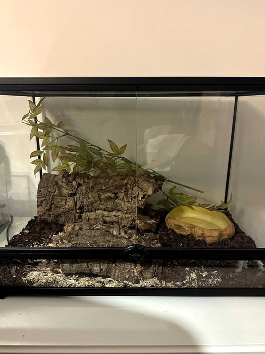 Terrário Giganterra - Wide M