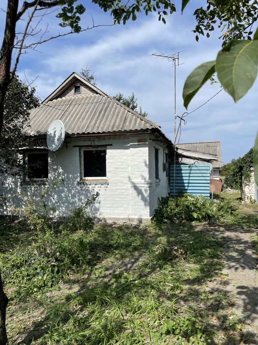 Будинок біля лісу для життя чи дачі