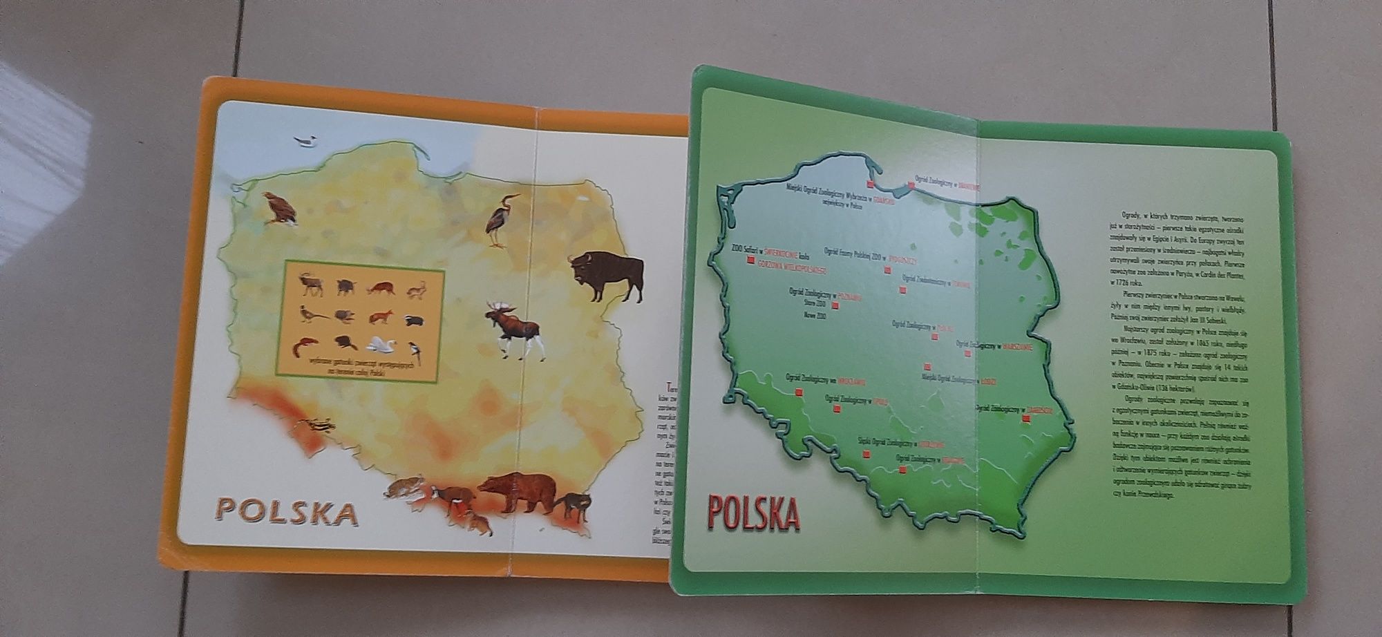 Atlas zwierząd Polski, w Zoo 2 szt twarde kartki