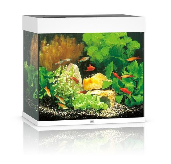 NOWE Akwarium Juwel Lido 120 LED, zestaw akwariowy