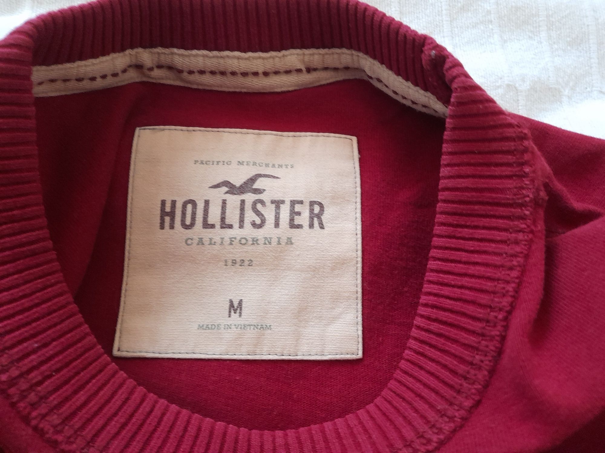 Bluza męska Hollister