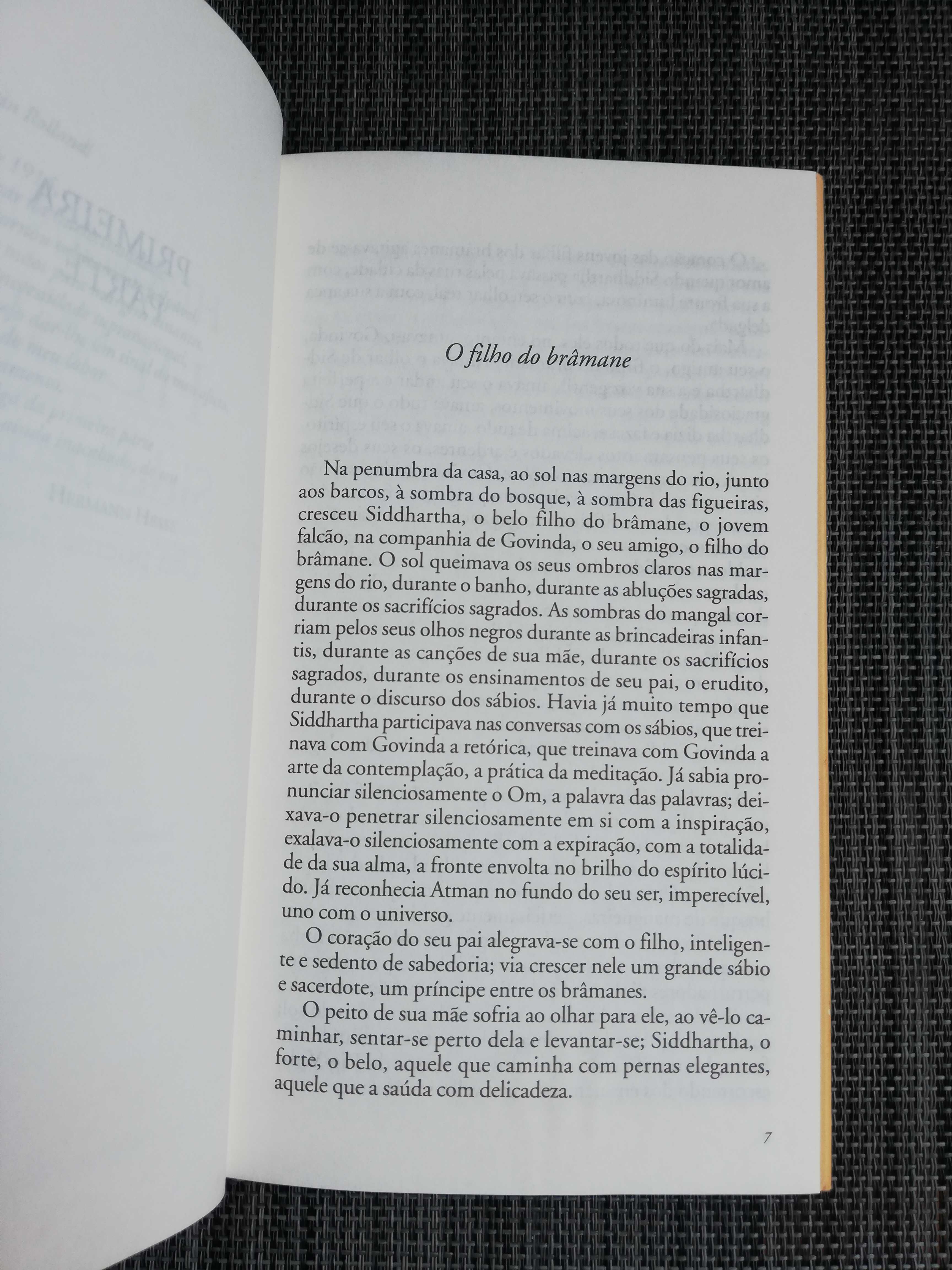 Herman Hesse - Siddhartha (portes incluídos)