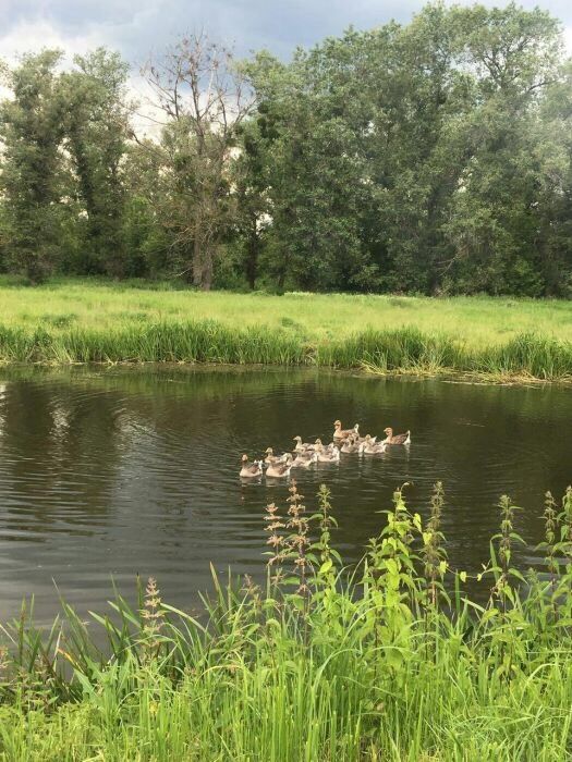 Продам Дом . Недвижимость в городе !