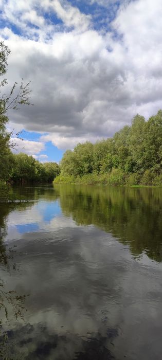 Продаж будинку в Літочках, Біля Лісу, Без Комісії!