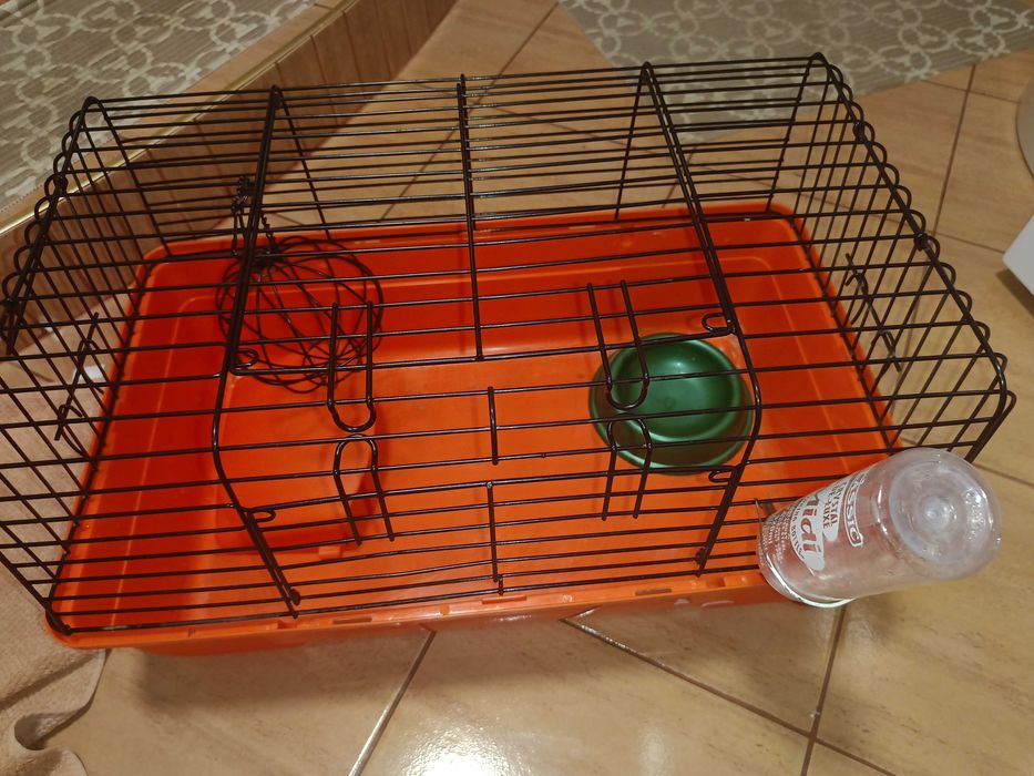 Klatka dla świnki morskiej