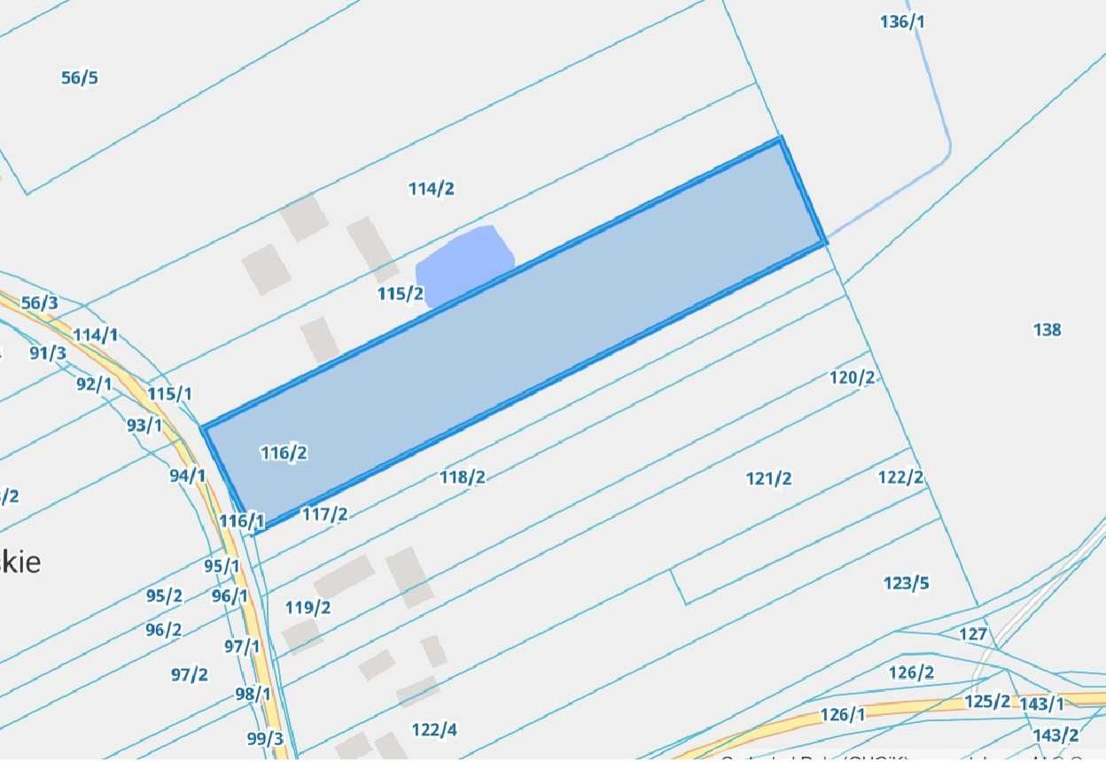 Działka o ogromnym potencjale - Pijawne Ruskie, 8609 m2