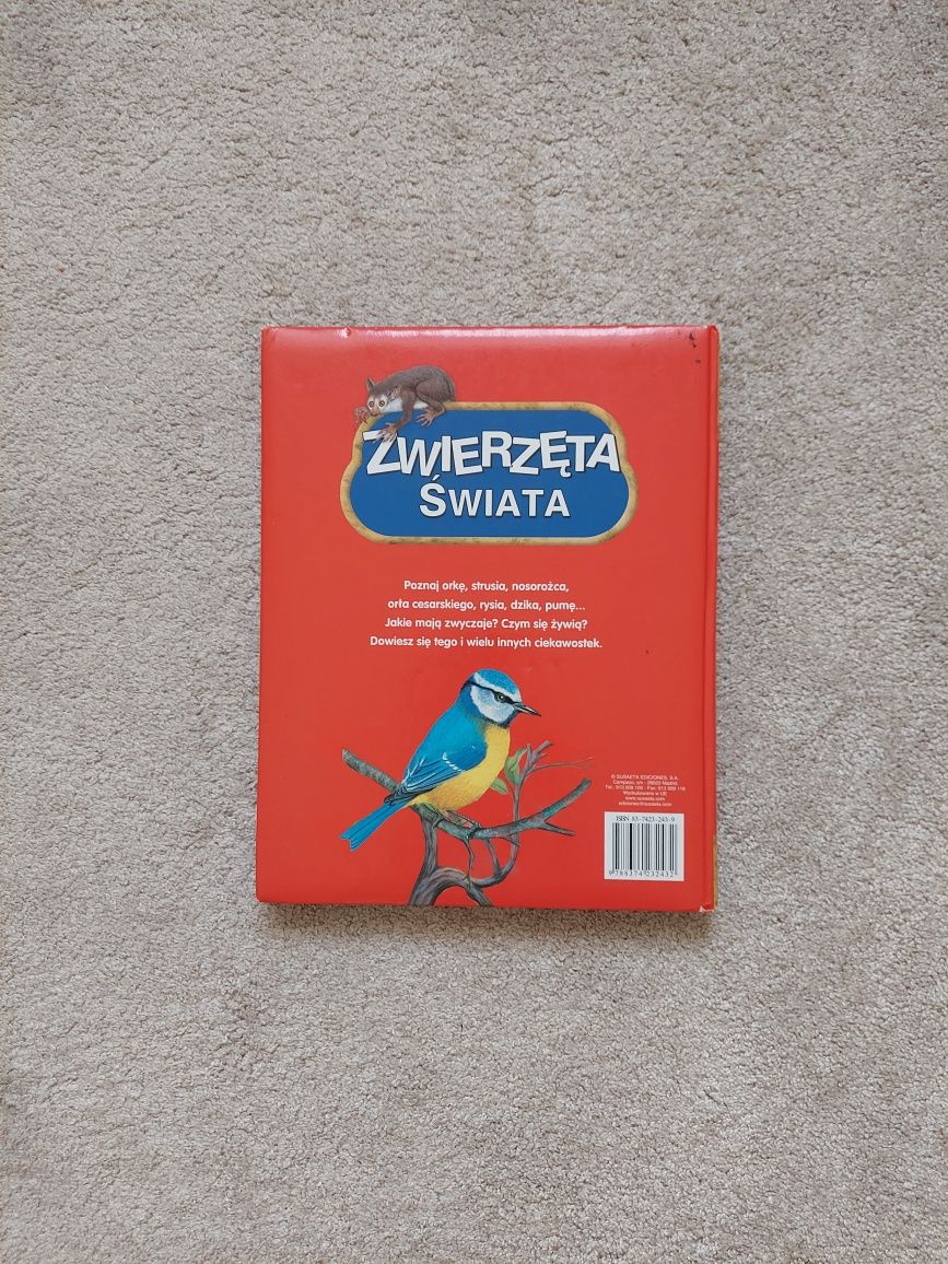 Książka dla dzieci Zwierzęta świata duże litery
