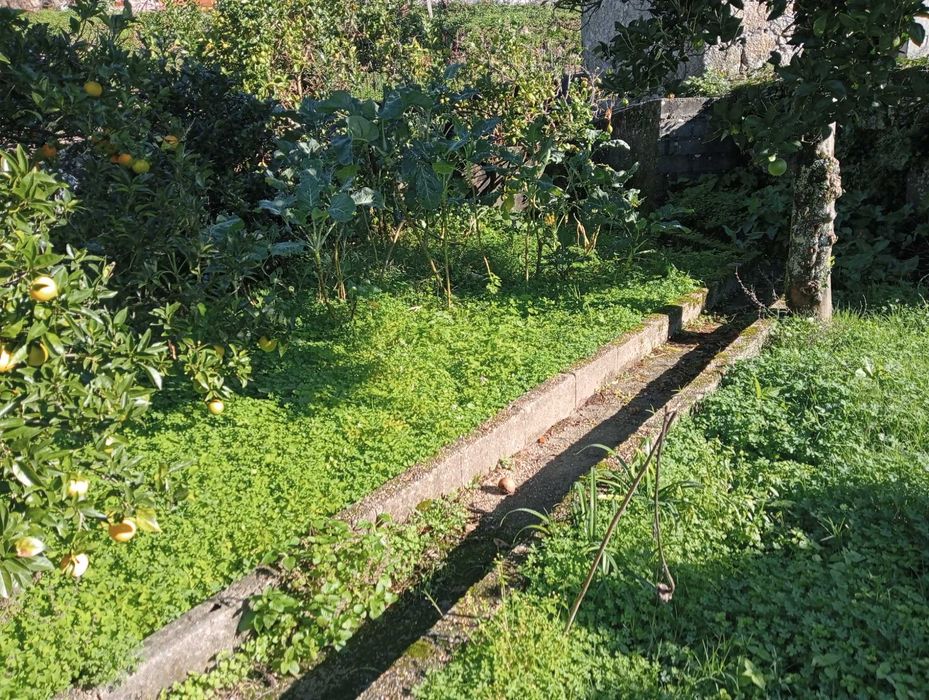 Casa pedra com terreno