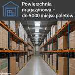WYNAJEM miejsc paletowych przeładunki aut