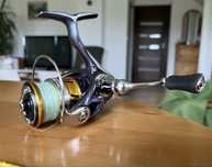 Kołowrotek Daiwa Regal LT 1000D
