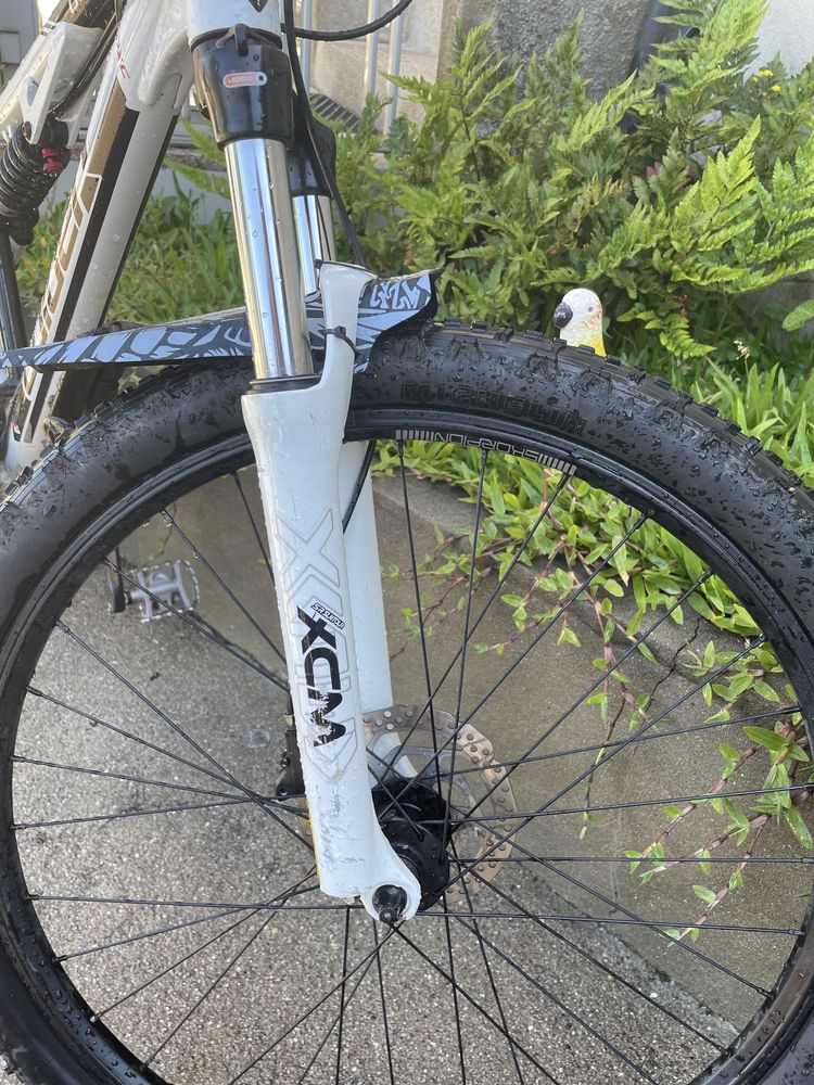 Bicicleta Coluer 26