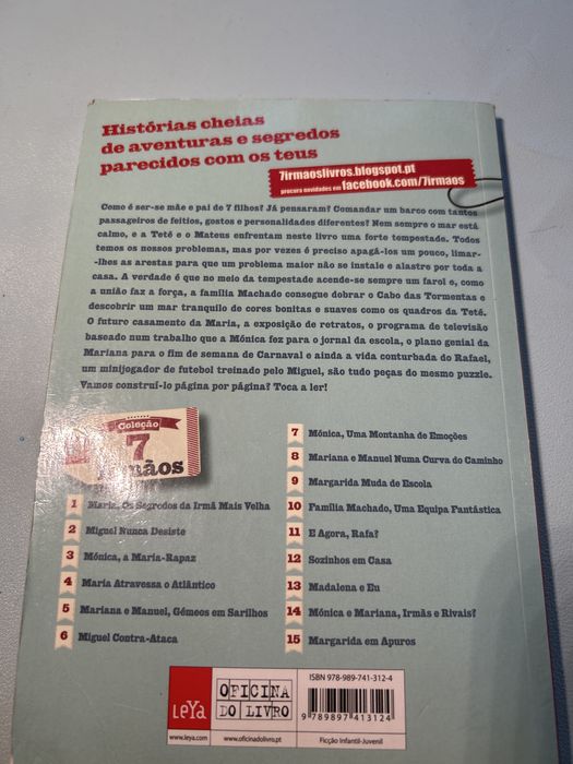 Livro Coleção 7 irmãos- Família Machado- Uma equipa fantástica