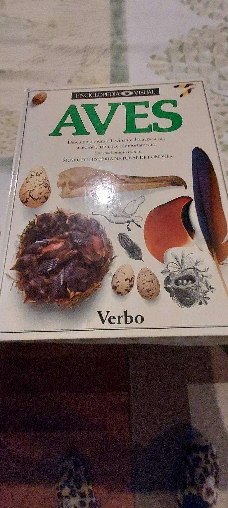 Livro novo Aves - enciclopedia Visual