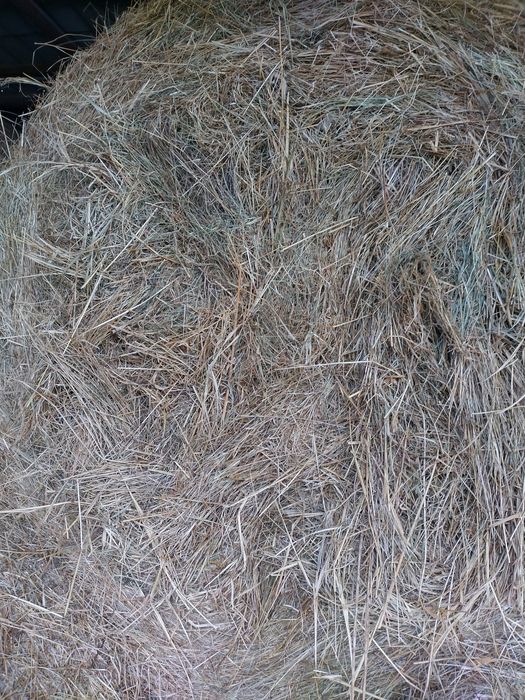 Sprzedam siano dla koni