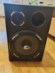 Subwoofer Peiyng 1000w