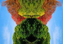 Fotografias GRANDE tamanho para parede Preço AINDA mais BAIXO_Só HOJE