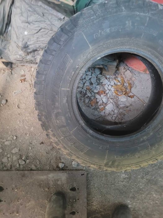 шини болотні 285. 85.r16