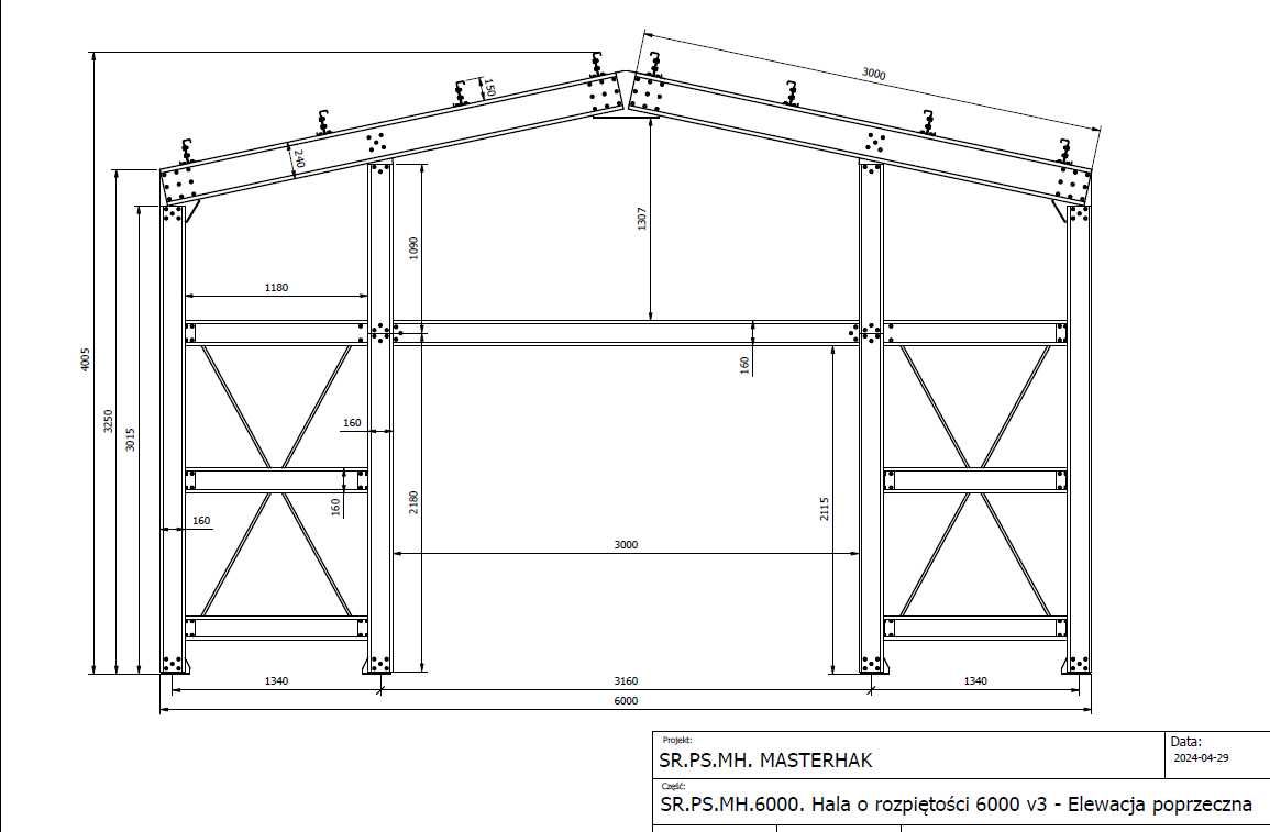 Projekt garaż, hala, magazyn szybka produkcja - montaż 6x9x3 ,  54m2