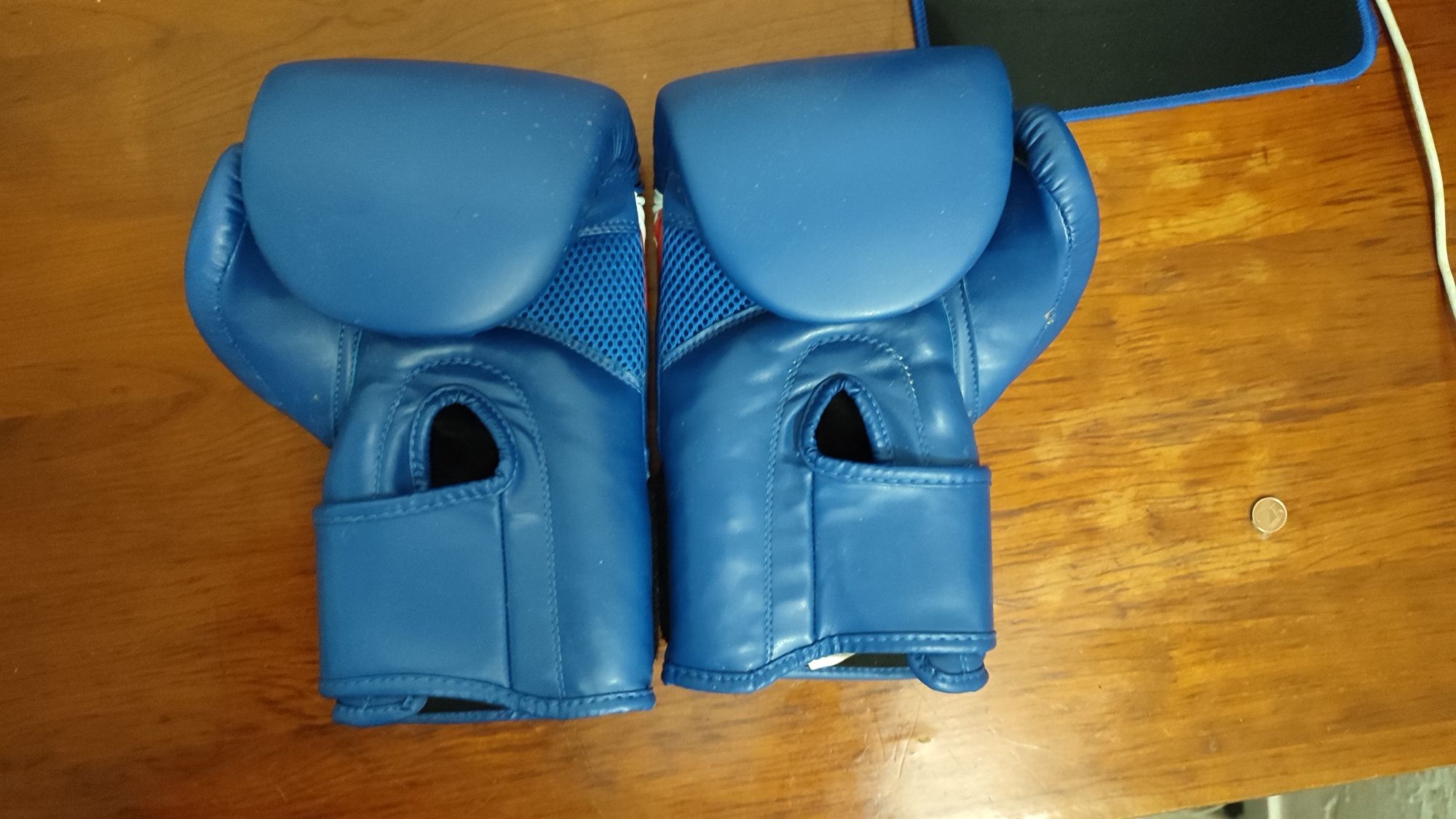 Luvas de boxe fila