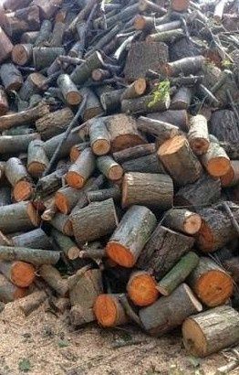 Drewno opałowe..