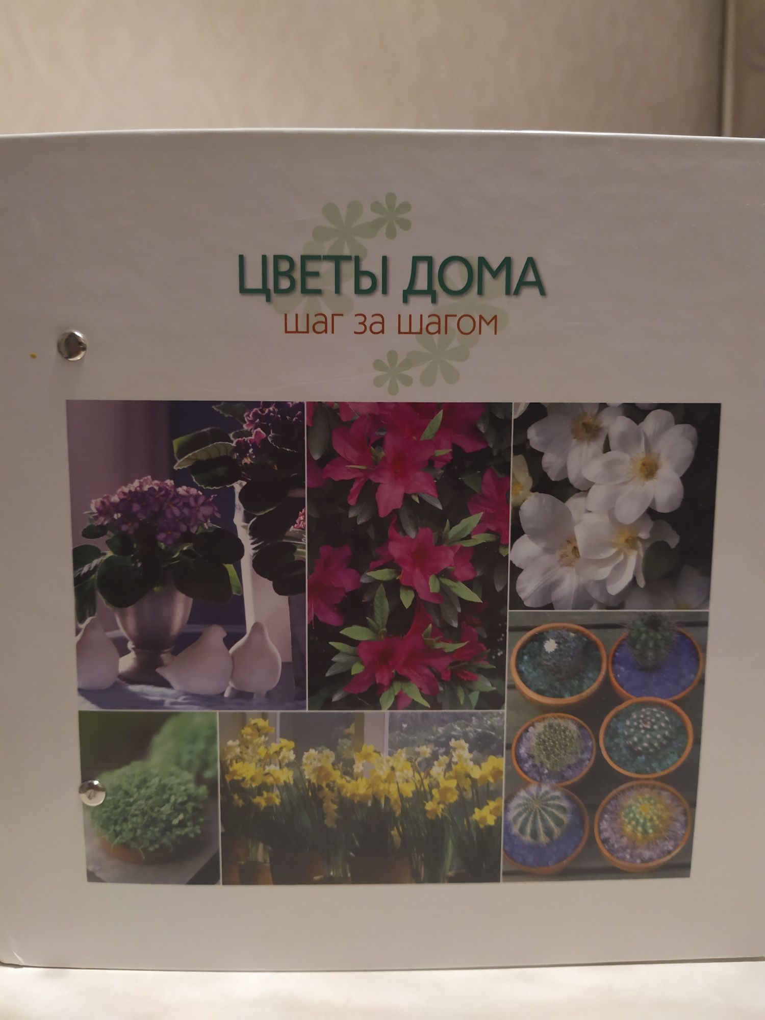 Продам книгу о цветах