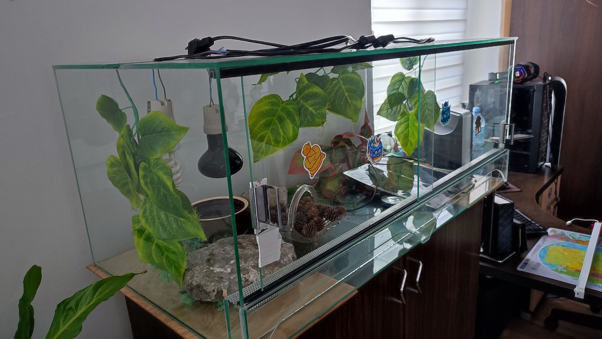 Terarium z drzwiami