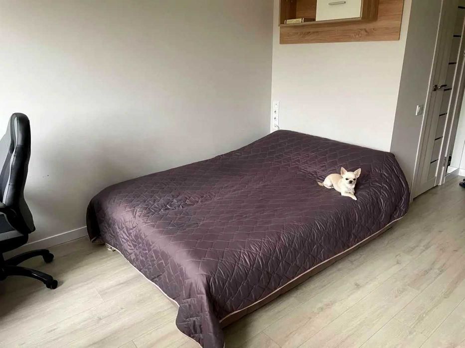 Здам, 1 кімнатну квартиру, по вул. Мучна, 60