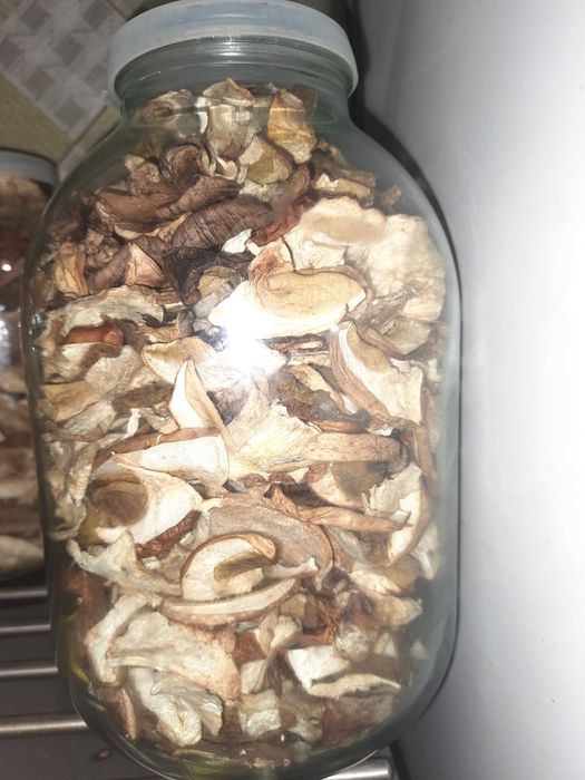 Білі сушені гриби