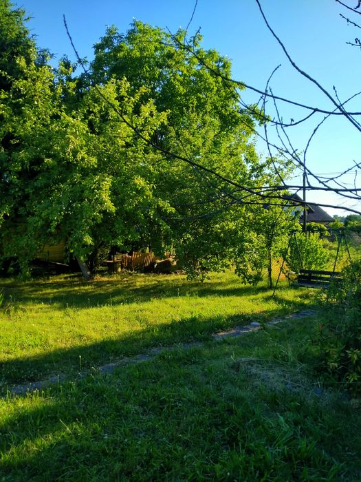 Sprzedam działkę ROD w Krzeszowicach