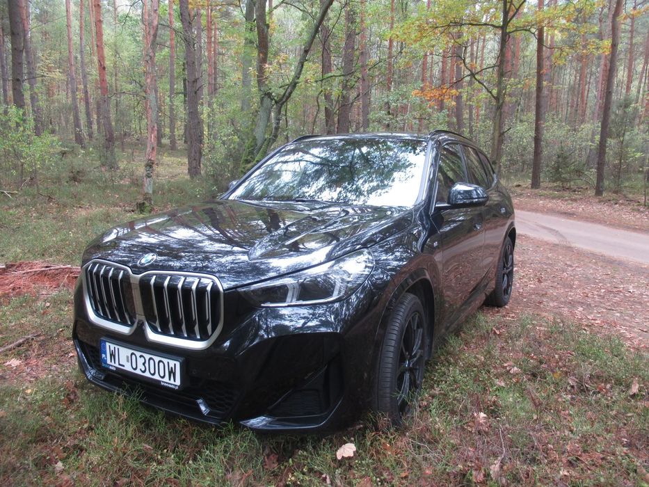 BMW X1 BMW X1 xDrive23D U11, 197 KM