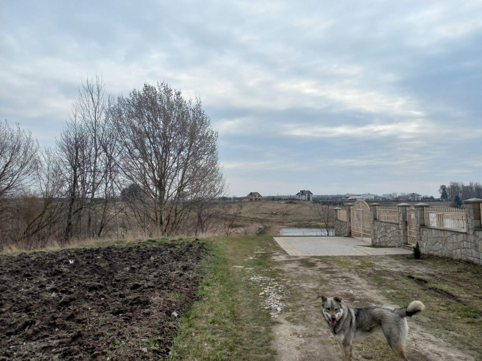 В.Ходачків Продаж земельної ділянки під забудову і с/г. Є газ і елект.