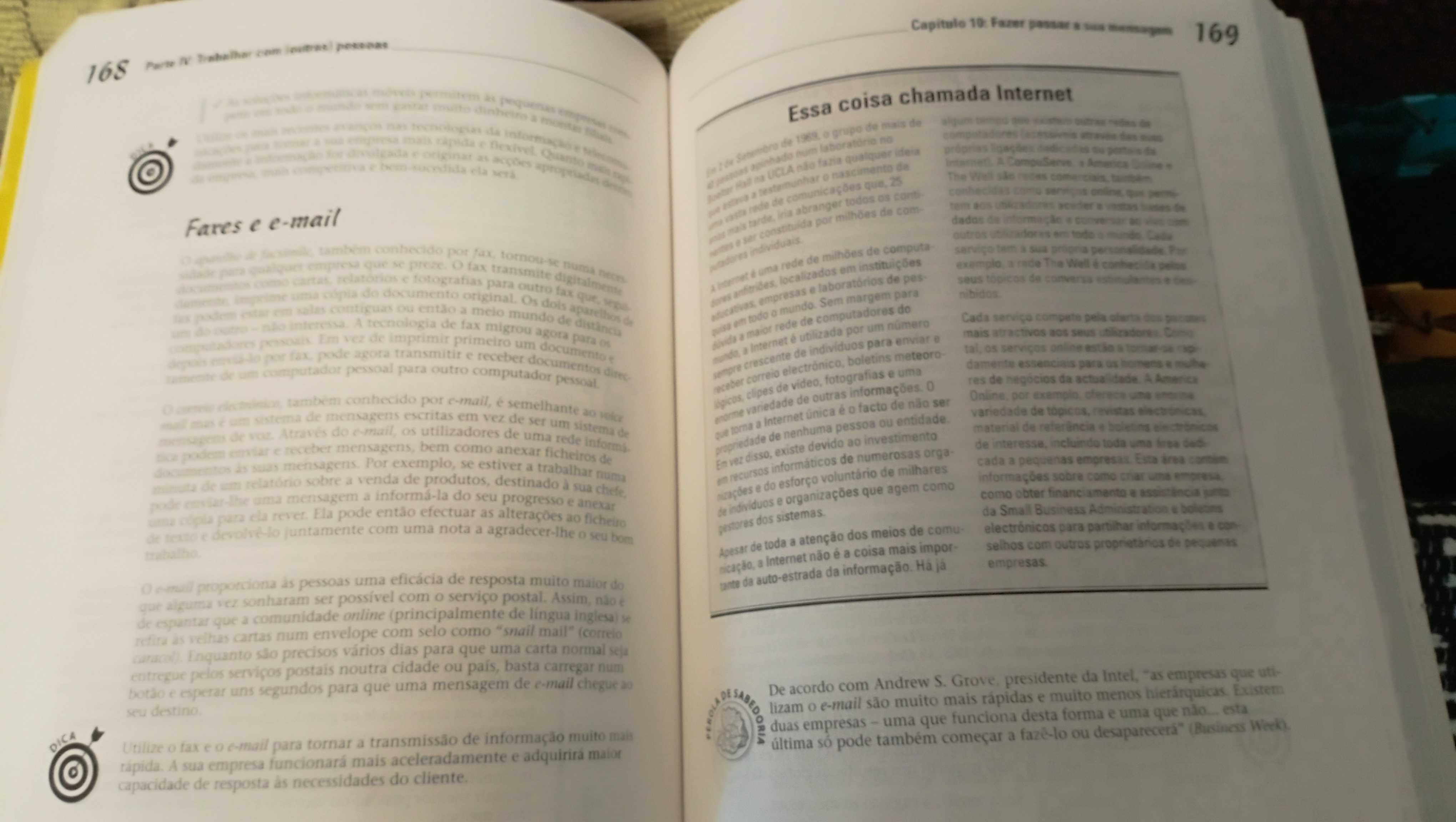 Livro Gestão para Totós