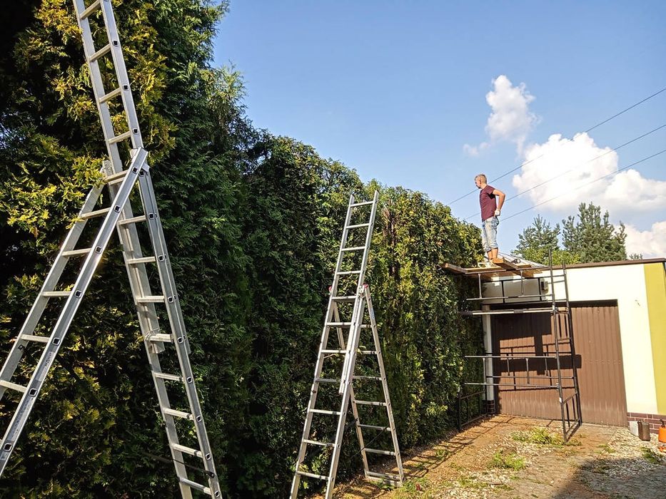 Koszenie trawy, wycinka drzew, usługi rębakiem, czyszczenie działek